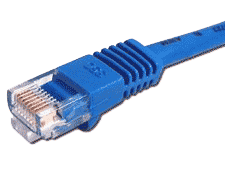 Photograph of a network cable